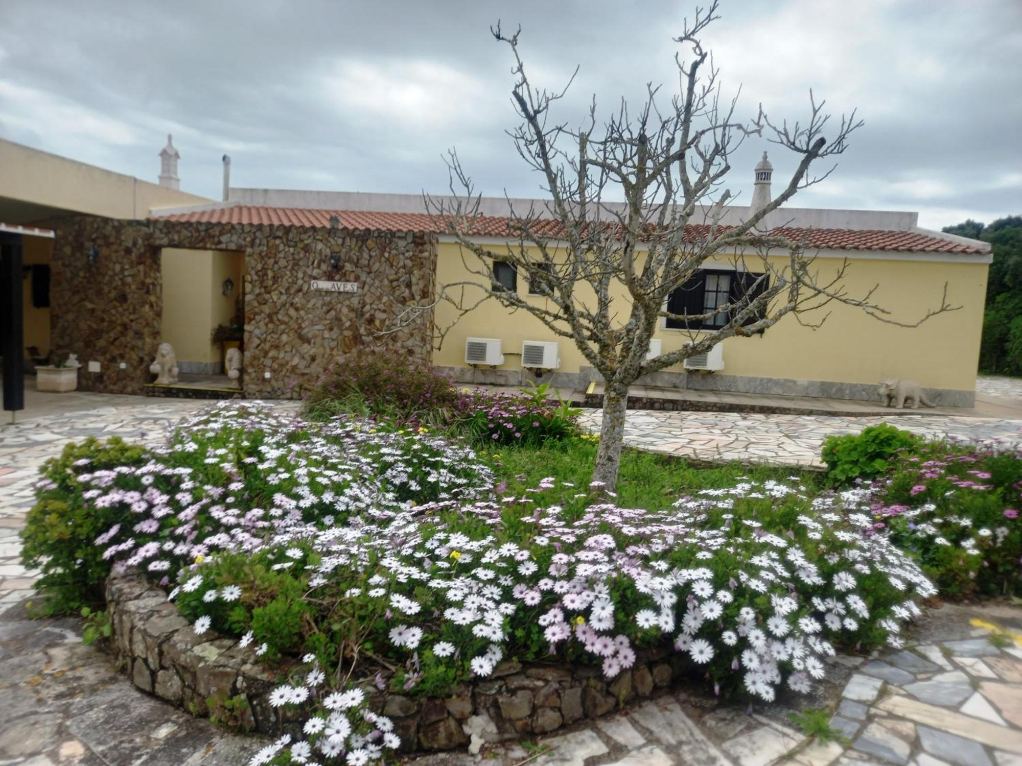 Quinta Das Aves Guest House ลากอส ภายนอก รูปภาพ